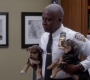 1x12_152.jpg