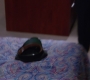 2x07_562.jpg