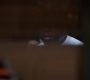 3x05_563.jpg