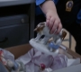 3x15_157.jpg