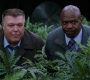 3x16_431.jpg