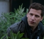 3x16_433.jpg