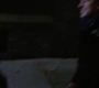 3x17_466.jpg