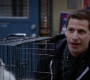 3x19_224.jpg