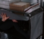 3x22_352.jpg