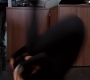 3x22_364.jpg