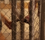 Filename=4x02_334.jpg
Filesize=206KiB
Dimensions=1920x1080
Date added=Dec 14, 2020 4x02_334.jpg