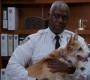 4x05_413.jpg