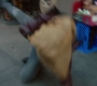 5x03_084.jpg
