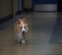 5x04_379.jpg
