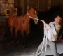 5x06_241.jpg