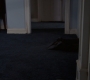 5x12_248.jpg
