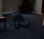 5x12_330.jpg