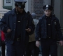 5x13_355.jpg