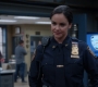 5x20_244.jpg