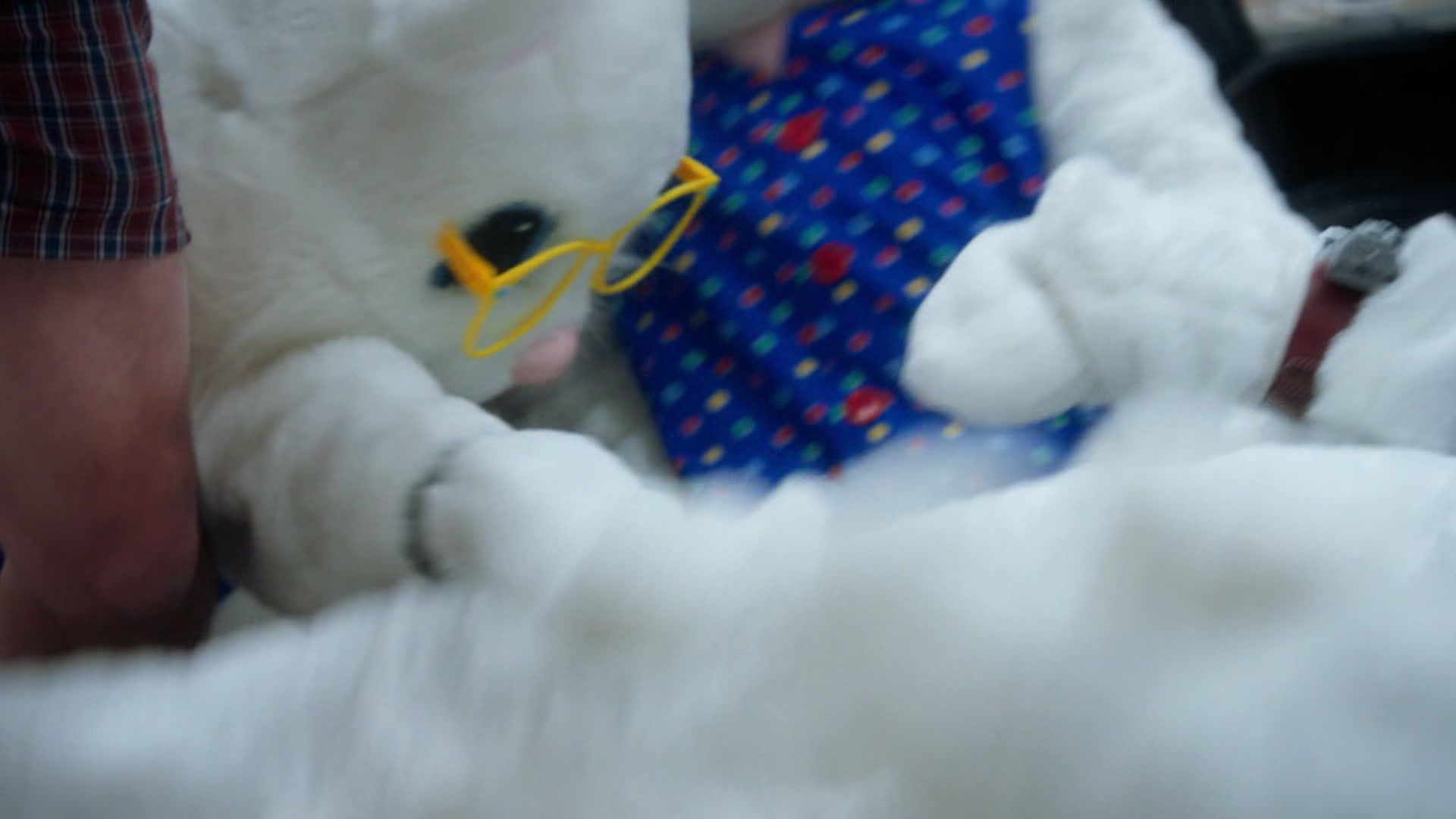 7_11_516.jpg