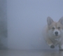 Filename=7_11_238.jpg
Filesize=82KiB
Dimensions=1920x1080
Date added=Sep 08, 2020 7_11_238.jpg