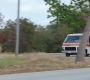 805_439.jpg